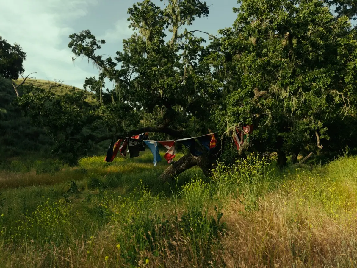 A group of people hanging out in a field